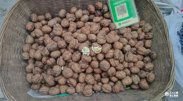 股票配资论坛是什么 价格比往年贵! 昆明人喜欢吃的这种东西上市了→